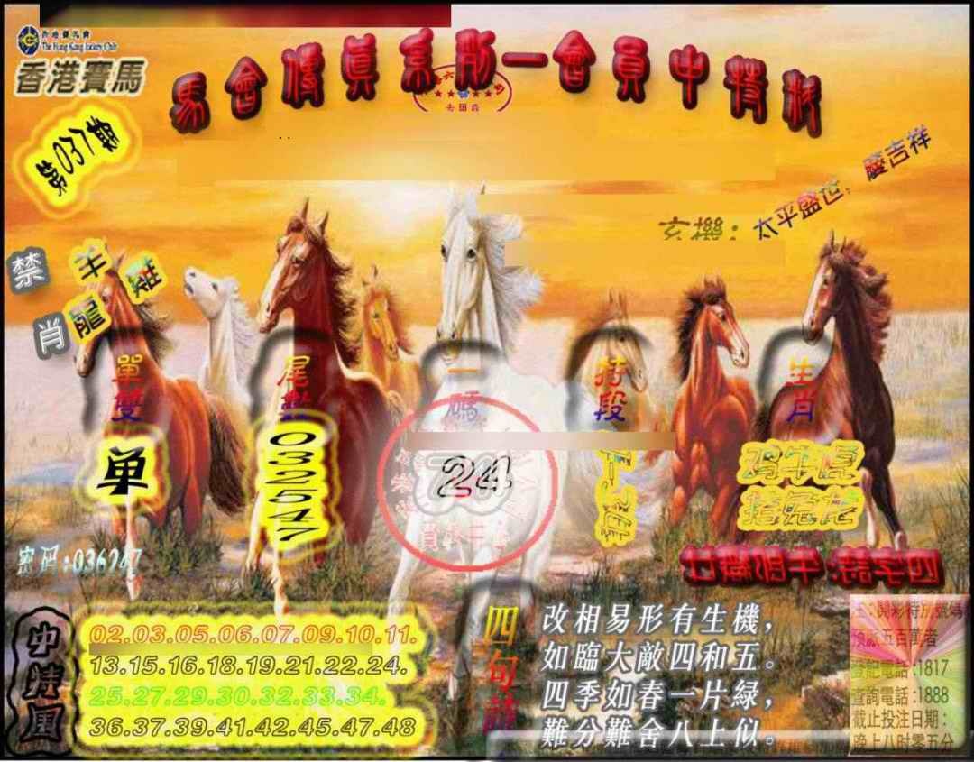 037期马会传真-会员报[图]