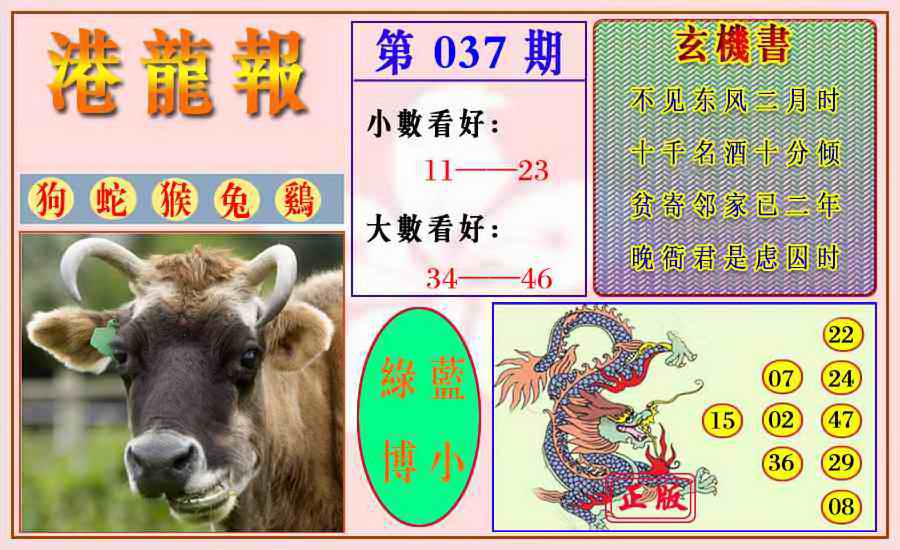 037期港龙报[图]
